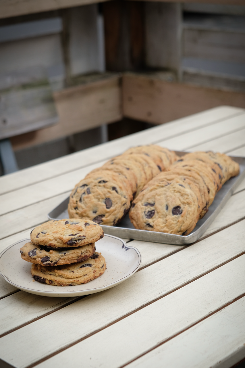 Chocolate Chip Cookie